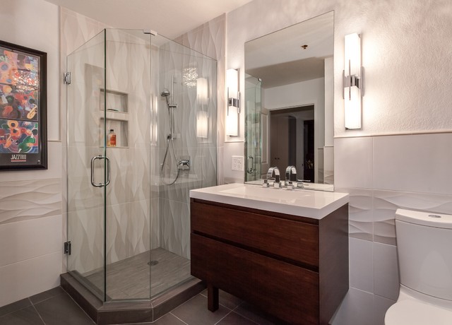 Palace Loft Bathroom Remodel Modern Bathroom Denver By Earthwood Custom Remodeling Inc Houzz