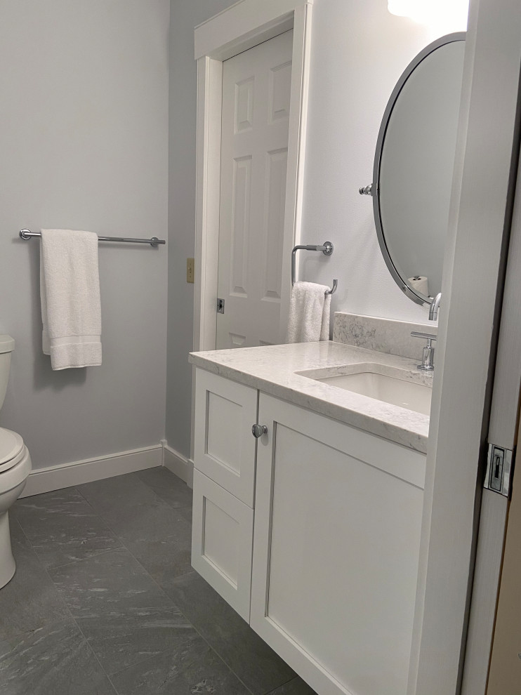 Pale Grey Bathroom Renovation Transitional Bathroom Burlington