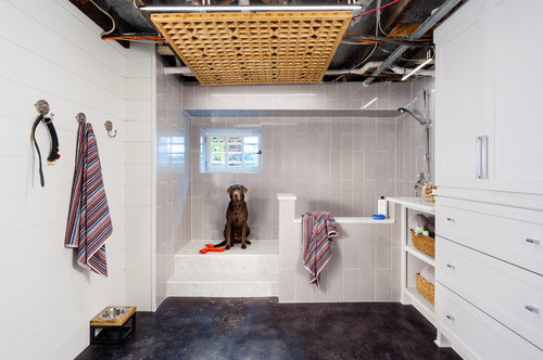Best Dog Wash Station Ideas for Home - 75+ Photos - Dog Wash station in basement