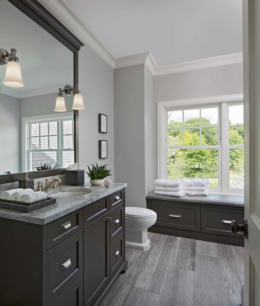 Transitional kids' gray tile and porcelain tile bathroom photo in Detroit with recessed-panel cabinets, gray cabinets, gray walls, a drop-in sink and granite countertops