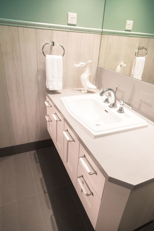 Visual Reference: Singapore Penthouse Traditional Bathroom Singapore