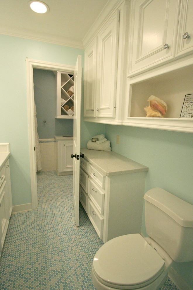 Imagen de cuarto de baño infantil tradicional renovado con puertas de armario blancas, baldosas y/o azulejos multicolor, baldosas y/o azulejos en mosaico y paredes verdes