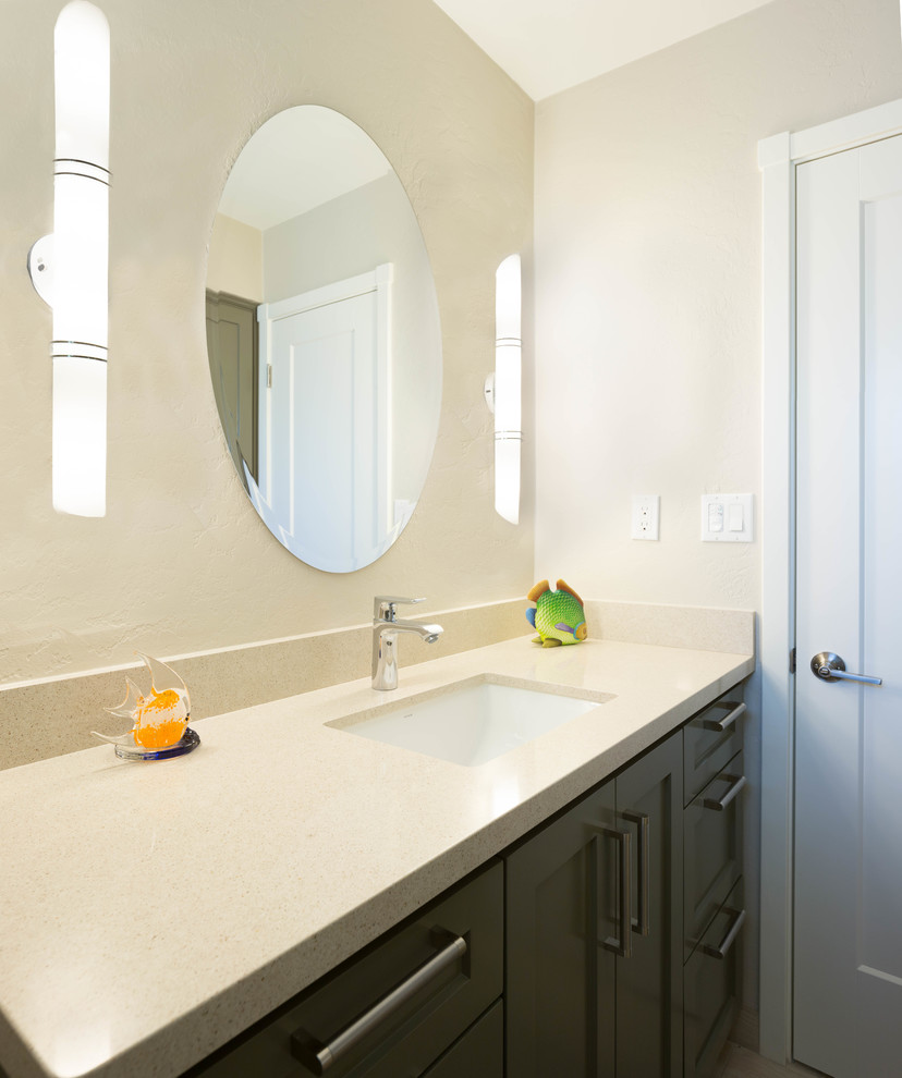 Tempe Transformation Hall Bathroom Transitional Bathroom