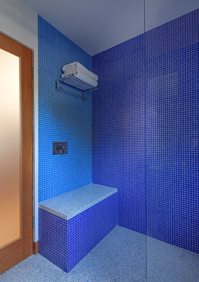 Trendy blue tile and mosaic tile multicolored floor bathroom photo in Los Angeles with white walls