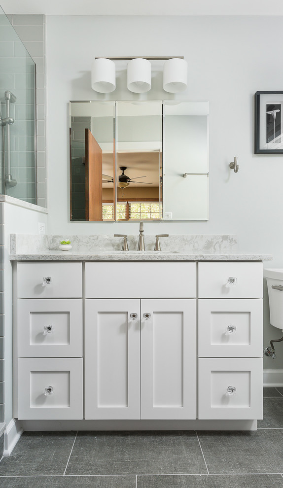 Transitional Basement & Bath Remodel Naperville Transitional