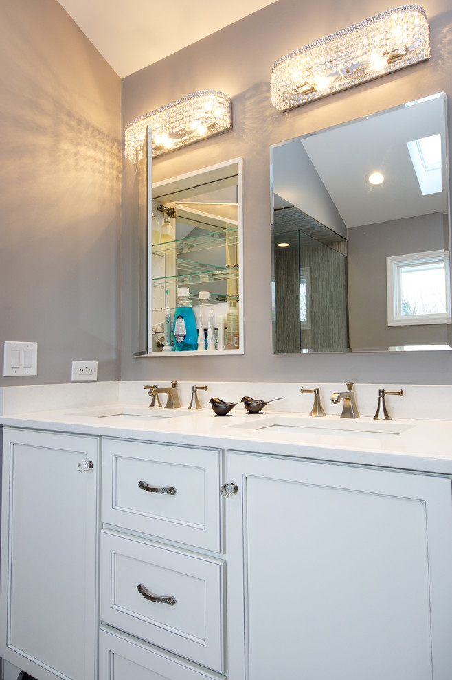 Transitional White and Gray Master Bath Willowbrook - Transitional ...