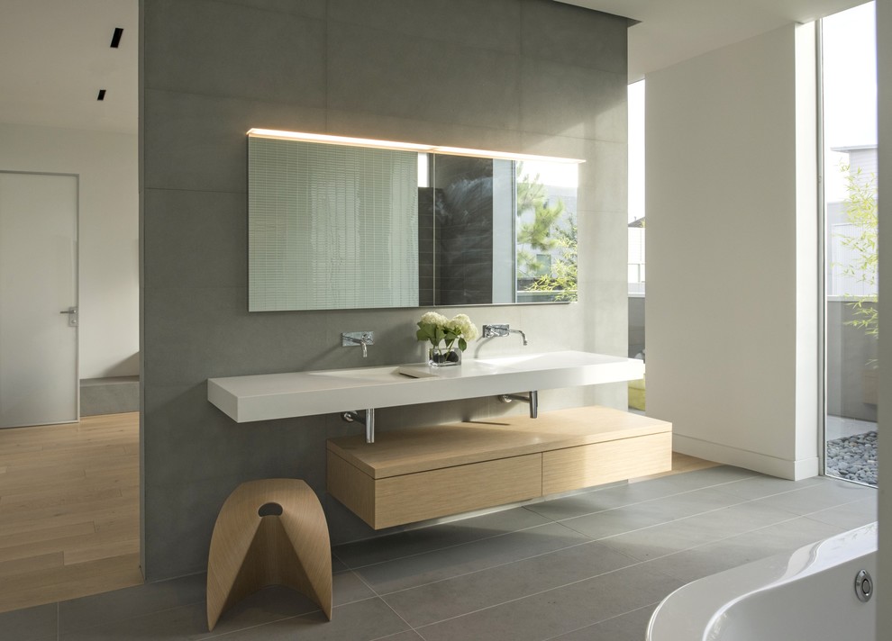 Cette image montre une salle de bain design.