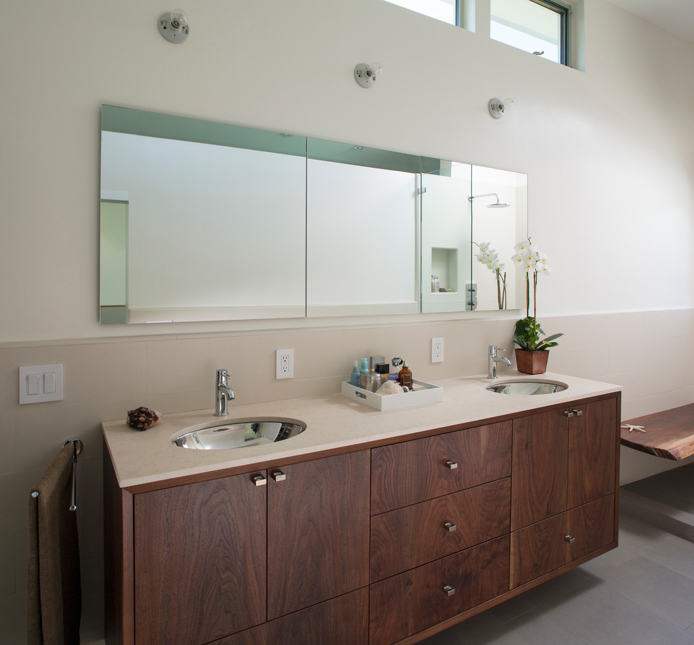 Imagen de cuarto de baño principal contemporáneo de tamaño medio con lavabo bajoencimera, armarios con paneles lisos, puertas de armario de madera en tonos medios y baldosas y/o azulejos grises