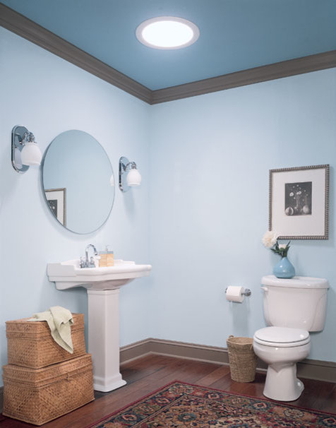 Diseño de cuarto de baño tradicional de tamaño medio con lavabo con pedestal, sanitario de dos piezas, paredes azules, suelo de madera en tonos medios y aseo y ducha