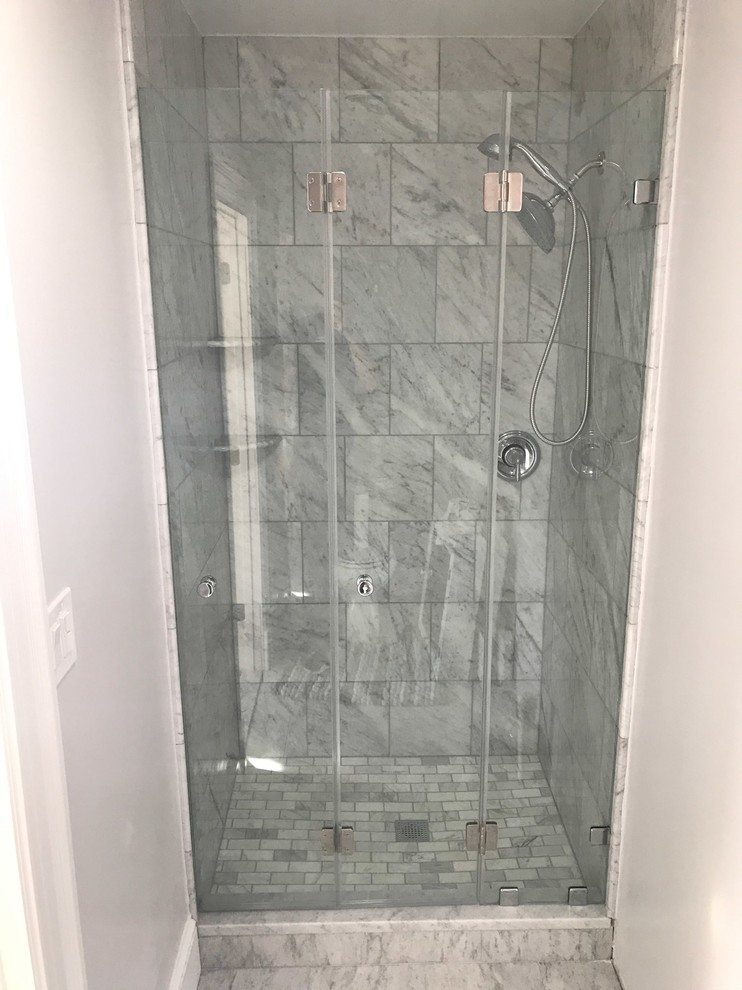Small minimalist master bathroom photo in DC Metro with a hinged shower door