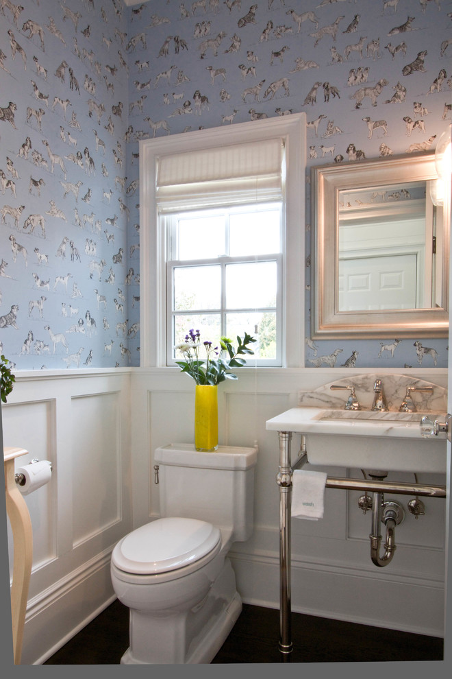 Ispirazione per una stanza da bagno con doccia classica con WC monopezzo, pareti blu e lavabo a colonna