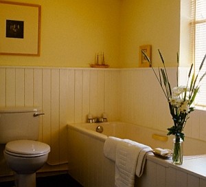 Kleines Klassisches Duschbad mit Einbaubadewanne, Wandtoilette mit Spülkasten, gelber Wandfarbe und hellem Holzboden in Toronto