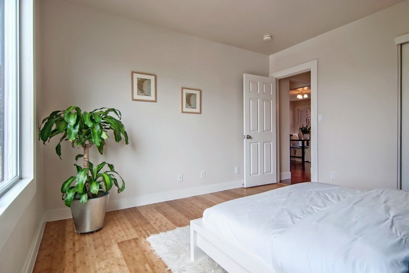 Foto de habitación de invitados contemporánea de tamaño medio con paredes grises y suelo de bambú