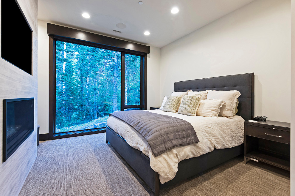 ソルトレイクシティにあるコンテンポラリースタイルのおしゃれな客用寝室のインテリア