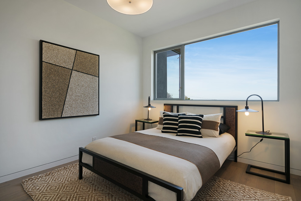 Ejemplo de dormitorio contemporáneo con paredes blancas, suelo marrón y suelo de madera en tonos medios