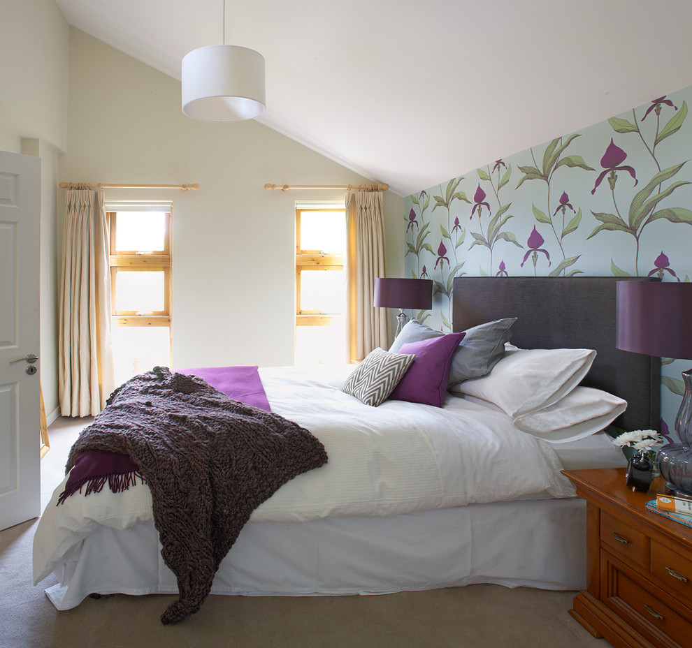Inspiration for a contemporary bedroom remodel in Dublin