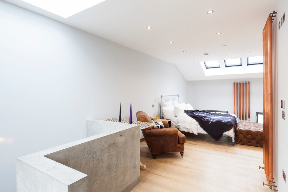 Inspiration for a large contemporary loft-style light wood floor bedroom remodel in London with white walls and no fireplace