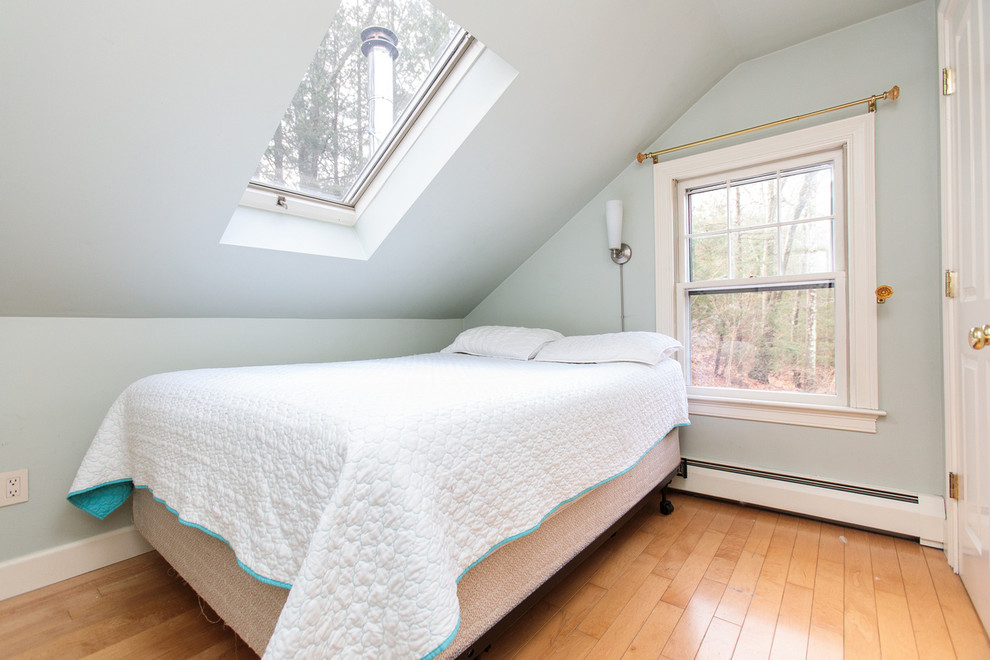 Ejemplo de habitación de invitados actual de tamaño medio con paredes azules y suelo de madera en tonos medios