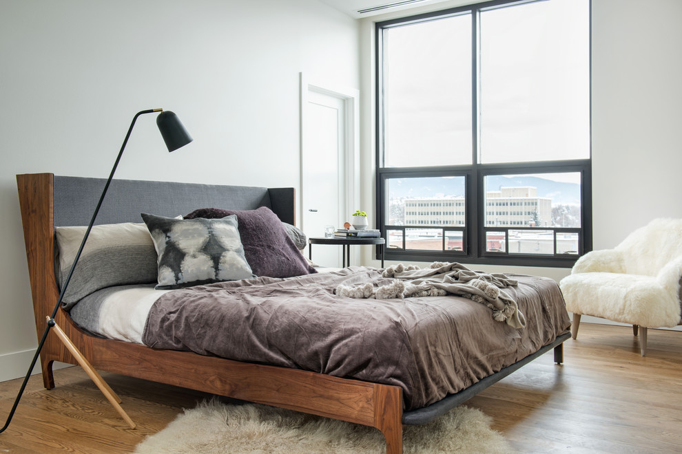 Photo of a contemporary bedroom in Other with white walls, medium hardwood flooring and brown floors.