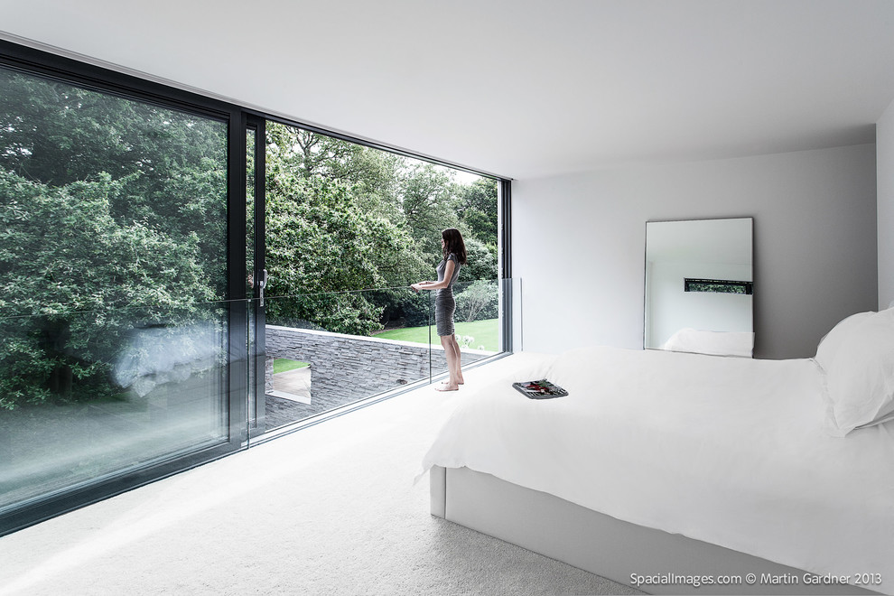Bedroom - contemporary bedroom idea in Hampshire