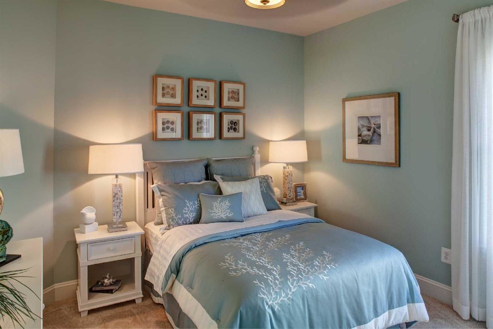 This is an example of a coastal guest bedroom in Other with blue walls and carpet.