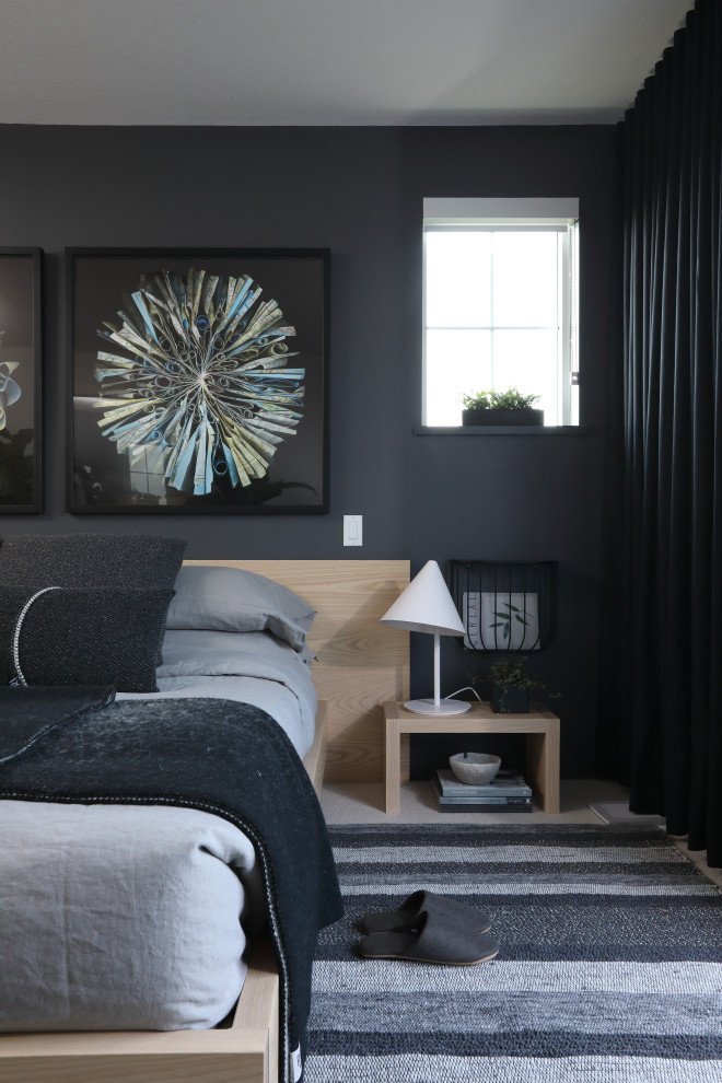 Imagen de dormitorio principal y gris y negro contemporáneo de tamaño medio con moqueta, suelo beige y paredes negras