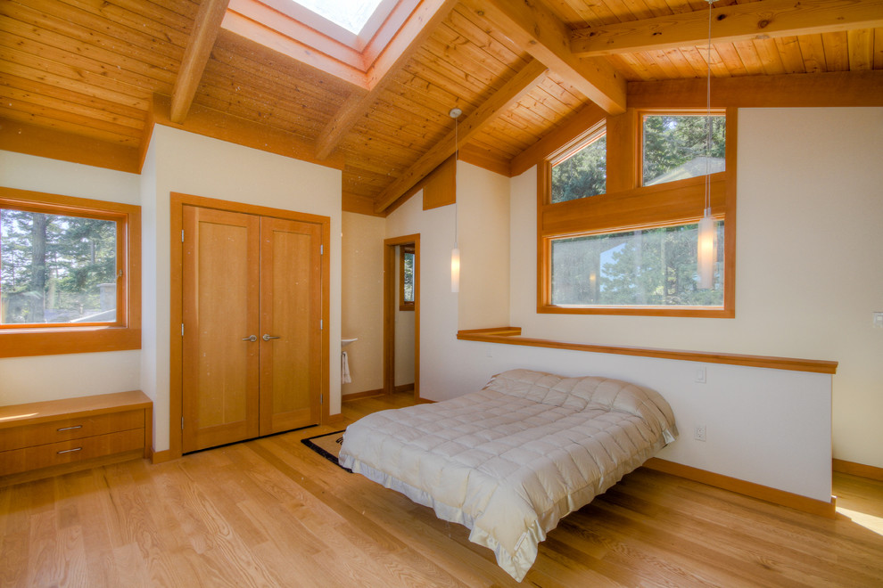 Diseño de dormitorio rural sin chimenea con paredes blancas y suelo de madera en tonos medios