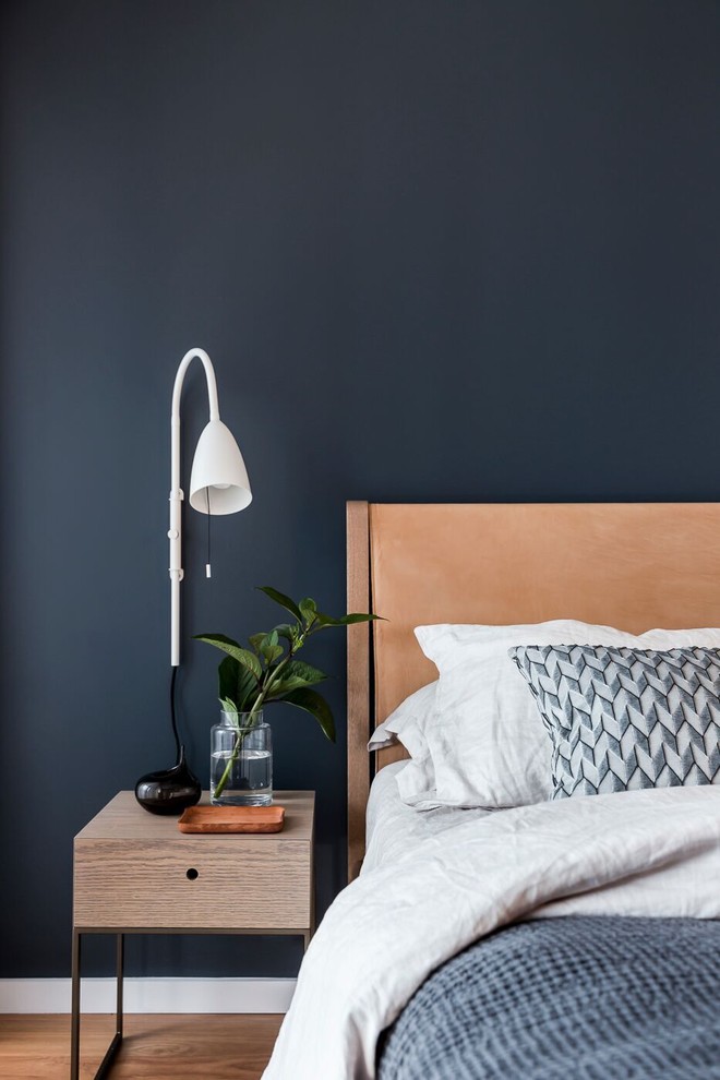 Modernes Hauptschlafzimmer mit blauer Wandfarbe und hellem Holzboden in Sydney