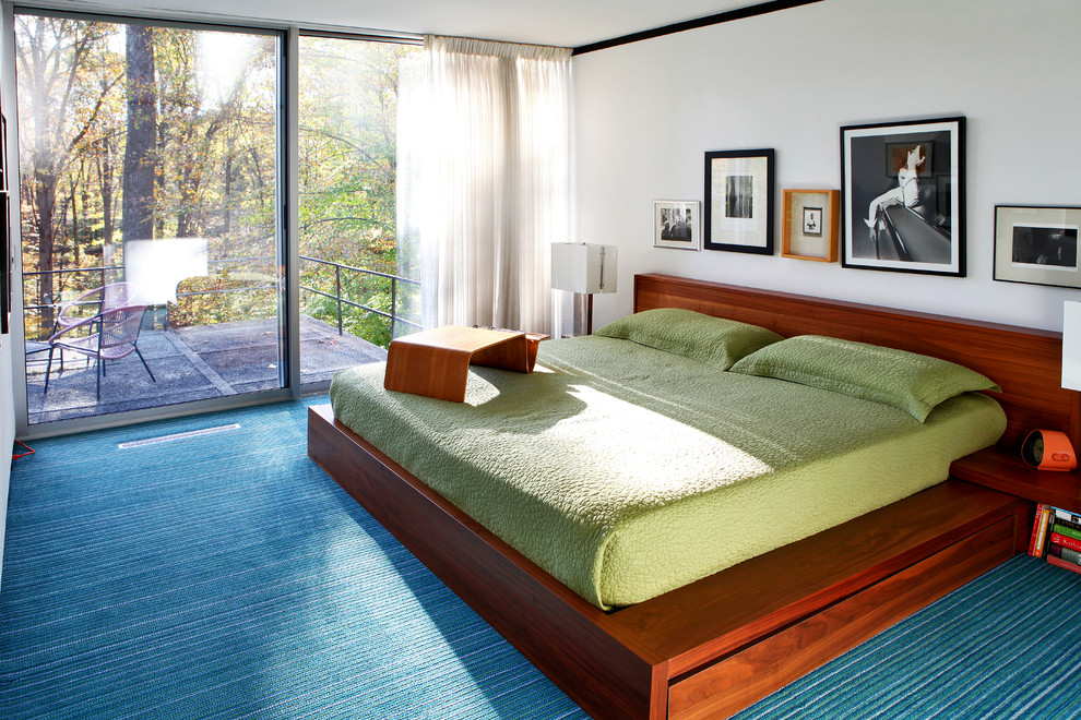 Modelo de dormitorio contemporáneo con paredes blancas, moqueta y suelo azul