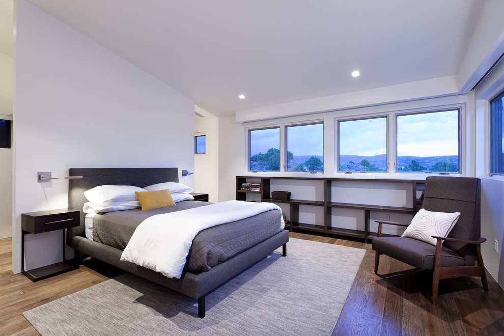 Example of a mid-sized minimalist master dark wood floor and brown floor bedroom design in Denver with white walls