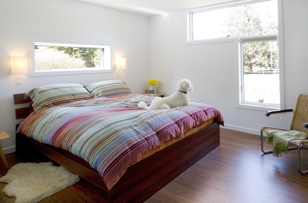 Imagen de dormitorio minimalista con suelo de madera en tonos medios y paredes blancas