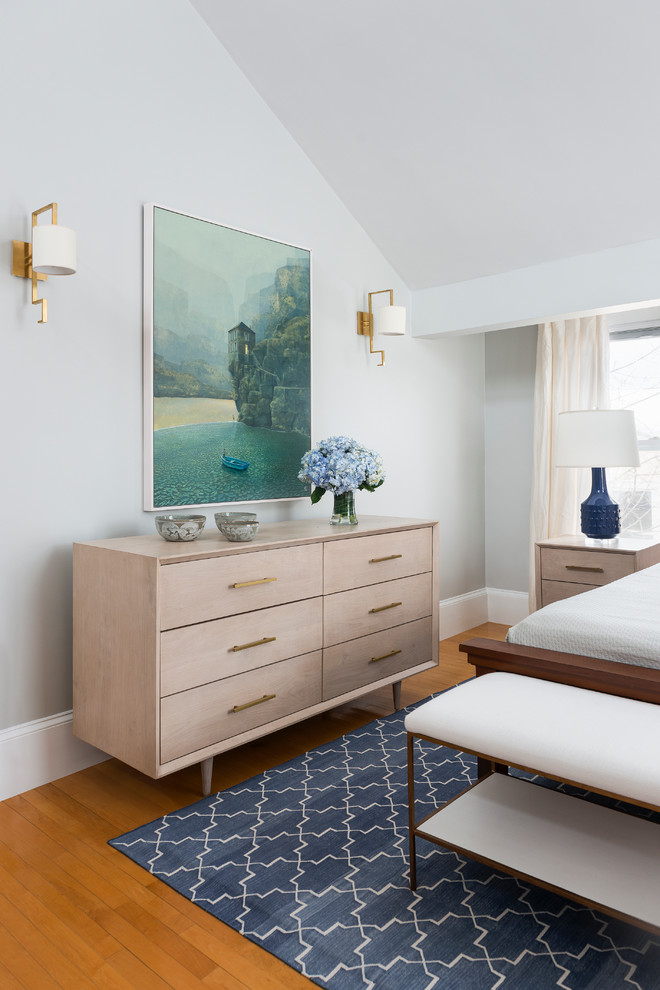 Bedroom - transitional bedroom idea in Boston