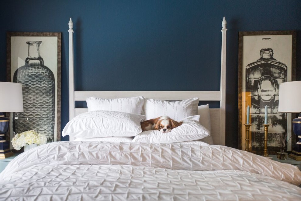 На фото: хозяйская спальня среднего размера в стиле фьюжн с синими стенами и ковровым покрытием без камина с