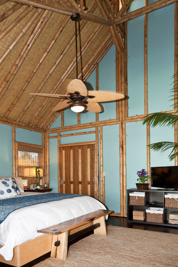 Immagine di una camera matrimoniale tropicale con pareti blu e parquet scuro