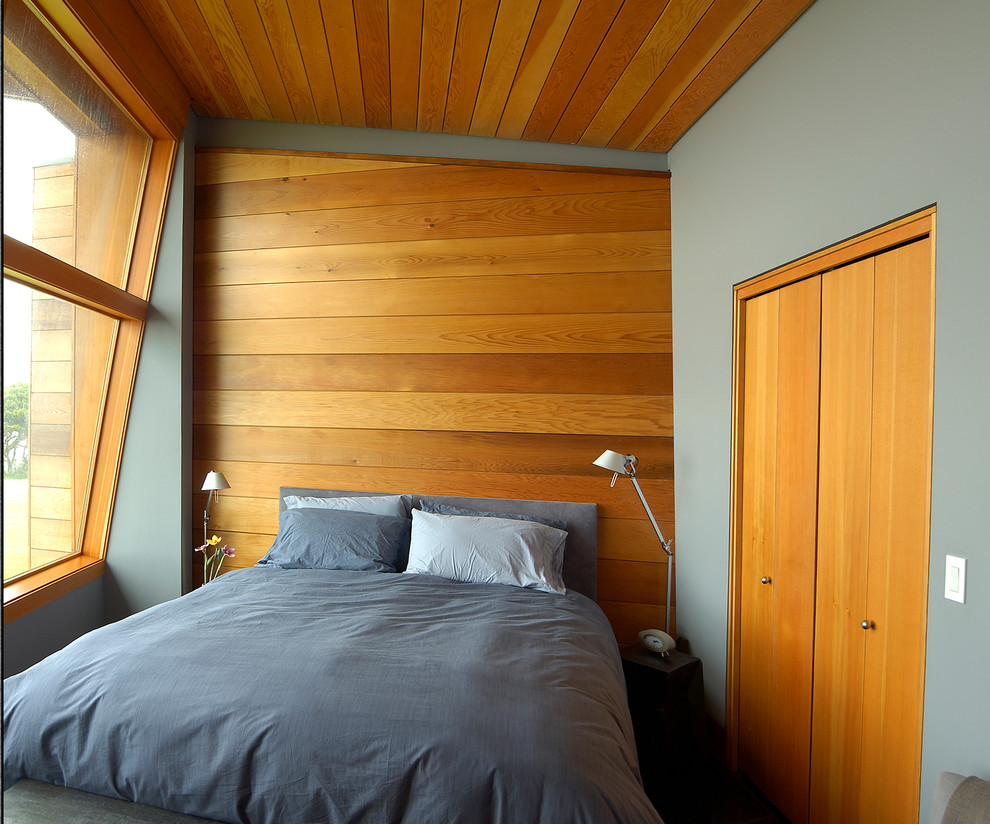 Foto de habitación de invitados contemporánea de tamaño medio sin chimenea con paredes grises