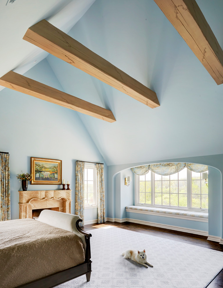 Photo of a large master bedroom in Chicago with blue walls, brown floors, dark hardwood flooring, a standard fireplace and a stone fireplace surround.