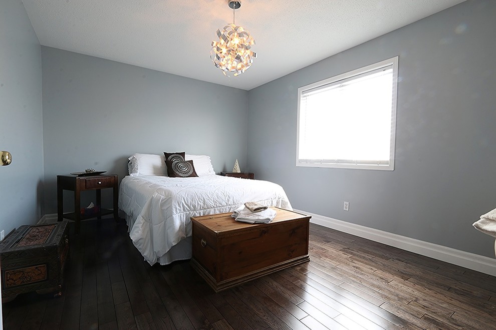 Photo of a medium sized modern guest bedroom in Ottawa with grey walls and dark hardwood flooring.
