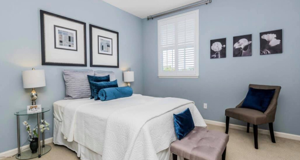 Пример оригинального дизайна: хозяйская спальня среднего размера в современном стиле с синими стенами, ковровым покрытием и бежевым полом без камина