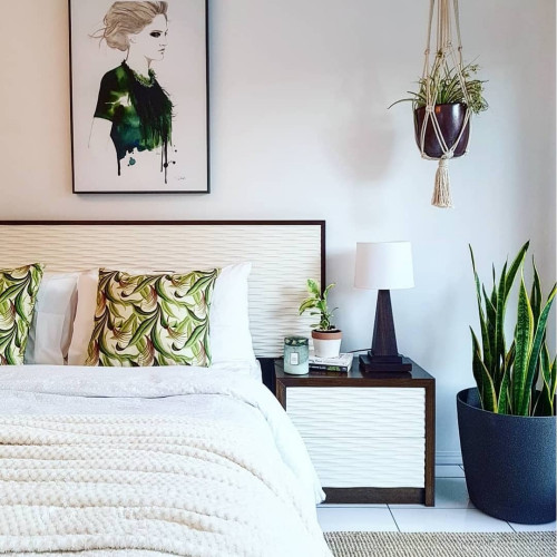 Bedroom decor - Indoor plants