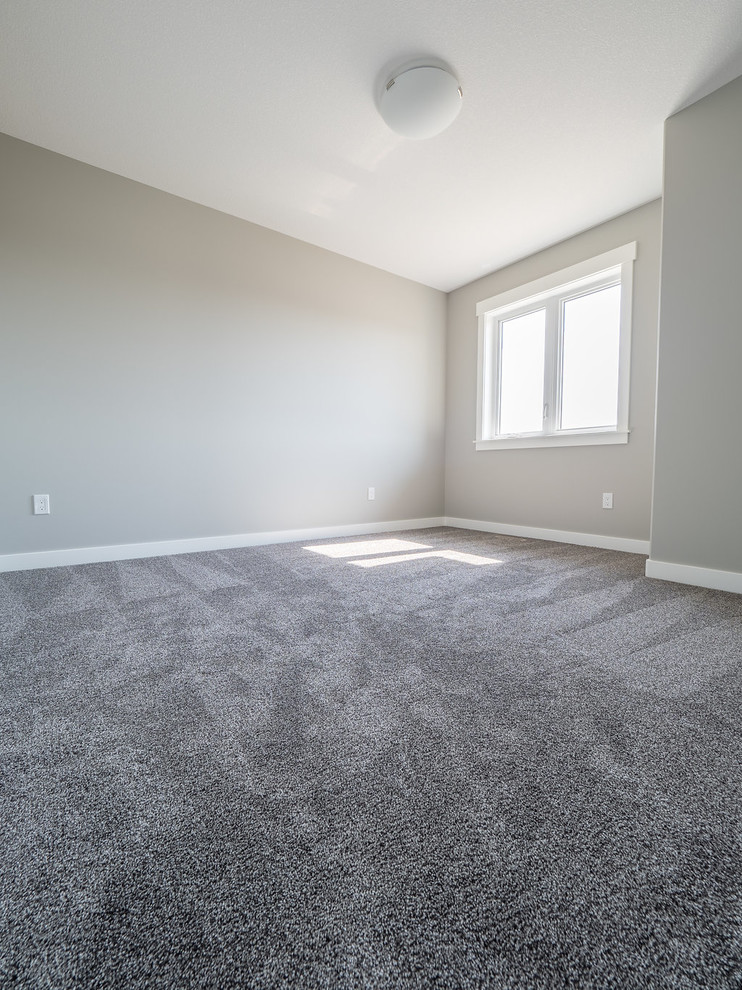 Ejemplo de habitación de invitados minimalista de tamaño medio con paredes grises, moqueta y suelo gris