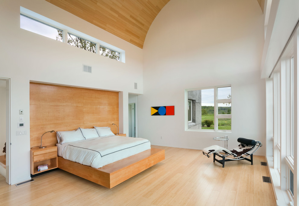 Photo of a contemporary bedroom in New York with white walls, light hardwood flooring and a feature wall.