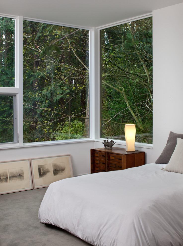 Стильный дизайн: гостевая спальня среднего размера, (комната для гостей) в современном стиле с белыми стенами и ковровым покрытием - последний тренд