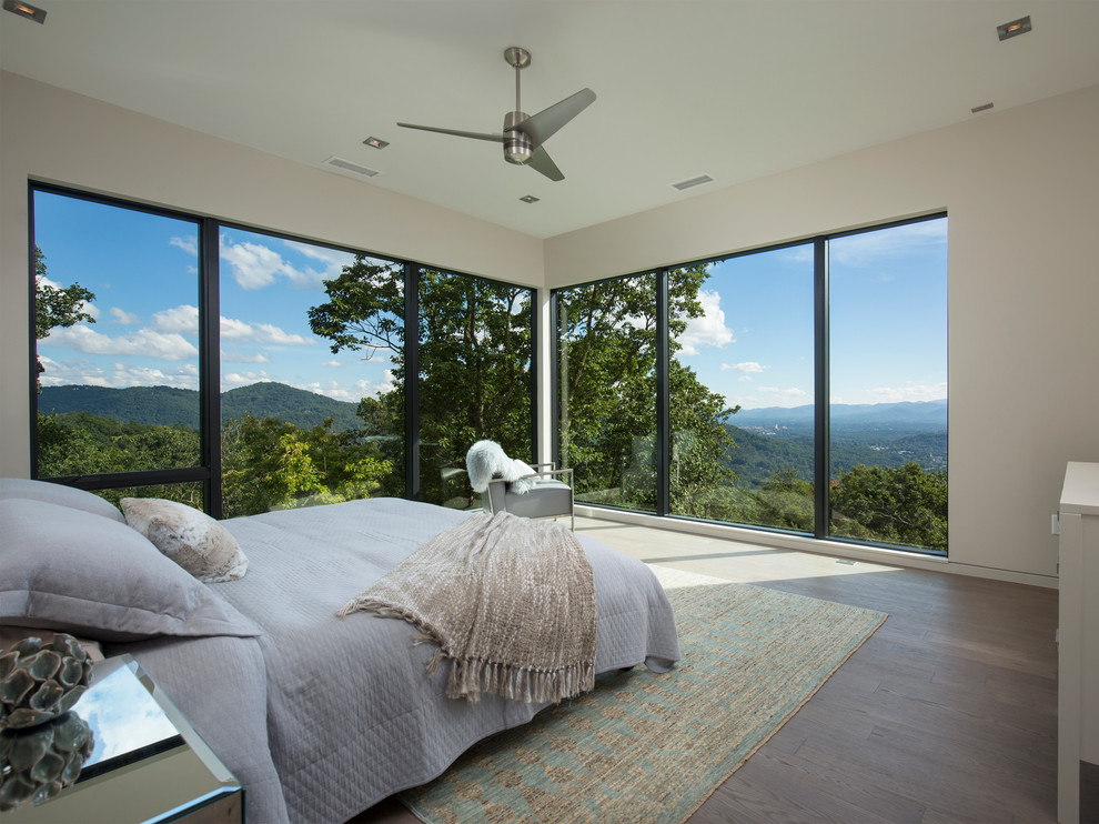 Photo of a large contemporary master bedroom in Other with white walls, no fireplace and dark hardwood flooring.