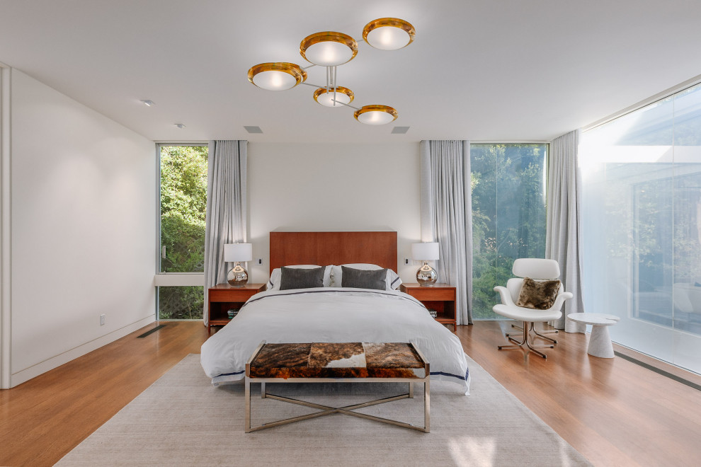 Стильный дизайн: большая хозяйская спальня в современном стиле с белыми стенами, паркетным полом среднего тона и коричневым полом - последний тренд
