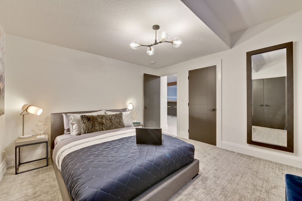 Esempio di una camera degli ospiti design di medie dimensioni con pareti bianche, moquette e pavimento grigio