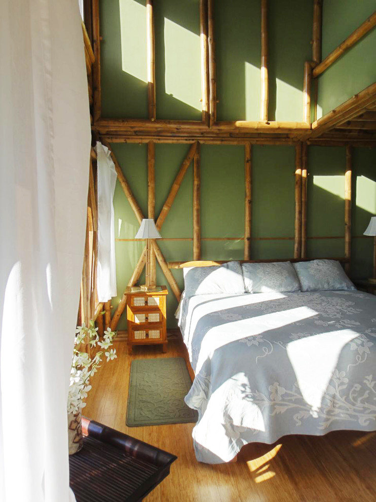 Bedroom - tropical master bedroom idea in Hawaii with green walls