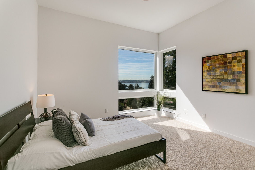 Imagen de habitación de invitados actual de tamaño medio con paredes blancas, moqueta y suelo beige