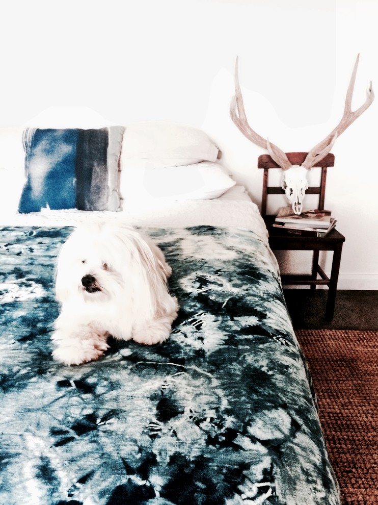 На фото: гостевая спальня среднего размера, (комната для гостей) в морском стиле с белыми стенами и бетонным полом с
