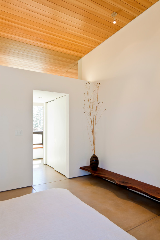 Идея дизайна: спальня в современном стиле с белыми стенами и бетонным полом