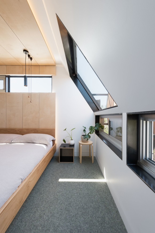 Modelo de dormitorio principal contemporáneo pequeño con paredes blancas, moqueta, machihembrado y madera